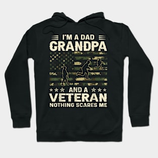 I'm A Dad Grandpa And Veteran Fathers Day American Flag Hoodie